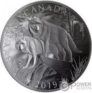 100 Dollars - Elizabeth II Wolves, Canada, 2019 reverse image
