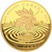 200 Dollars - Elizabeth II Maple Leaf Reflection, Canada, 2015 reverse image