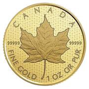 200 Dollars - Elizabeth II Maple Leaf, Canada, 2017 reverse image