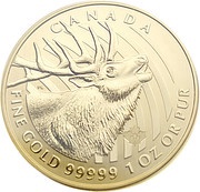 200 Dollars - Elizabeth II Elk, Canada, 2017 reverse image