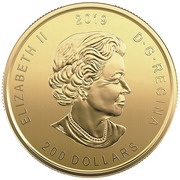 200 Dollars - Elizabeth II Moose obverse image