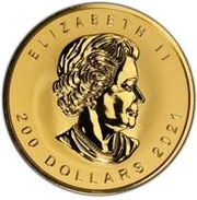 200 Dollars - Elizabeth II Super Incuse Gold Maple Leaf obverse image
