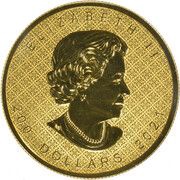 200 Dollars - Elizabeth II Maple Leaf obverse image