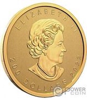 200 Dollars - Elizabeth II Ultra High Relief Gold Maple Leaf obverse image