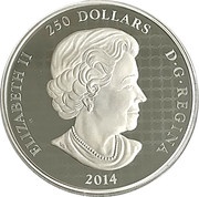 250 Dollars - Elizabeth II Snowy Owl obverse image