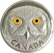 250 Dollars - Elizabeth II Snowy Owl, Canada, 2014 reverse image