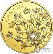 250 Dollars - Elizabeth II The Magnificent Maple, Canada, 2018 reverse image