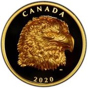250 Dollars - Elizabeth II Proud Bald Eagle, Canada, 2020 reverse image