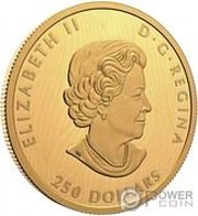 250 Dollars - Elizabeth II Bold Bison obverse image