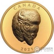 250 Dollars - Elizabeth II Bold Bison, Canada, 2021 reverse image