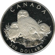 300 Dollars - Elizabeth II Snowy Owl; platinum, Canada, 1991 reverse image