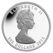 300 Dollars - Elizabeth II 25th Anniversary of the Platinum Maple Leaf obverse image