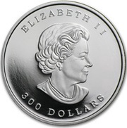 300 Dollars - Elizabeth II Maple Leaf Forever obverse image