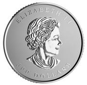 300 Dollars - Elizabeth II Maple Leaf Forever obverse image