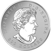 300 Dollars - Elizabeth II Maple Leaf Forever obverse image