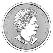 300 Dollars - Elizabeth II Maple Leaf Forever obverse image