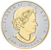 300 Dollars - Elizabeth II Maple Leaf Forever obverse image
