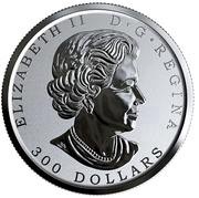 300 Dollars - Elizabeth II Maple Leaf Forever obverse image