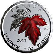 300 Dollars - Elizabeth II Maple Leaf Forever, Canada, 2019 reverse image