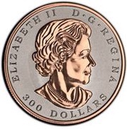 300 Dollars - Elizabeth II Maple Leaf Forever obverse image