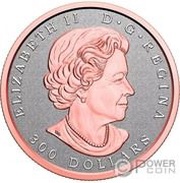 300 Dollars - Elizabeth II Tribute to the Maple Tree obverse image
