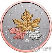 300 Dollars - Elizabeth II Tribute to the Maple Tree, Canada, 2021 reverse image