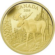 350 Dollars - Elizabeth II The Majestic Moose, Canada, 2014 reverse image