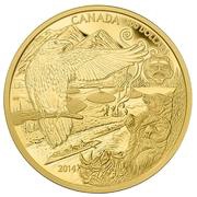 500 Dollars - Elizabeth II The Legend of the Spirit Bear, Canada, 2014 reverse image