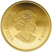 500 Dollars - Elizabeth II Maple Leaves obverse image