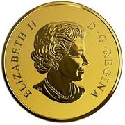 500 Dollars - Elizabeth II Maple Leaves obverse image