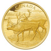 2500 Dollars - Elizabeth II The Caribou, Canada, 2013 reverse image