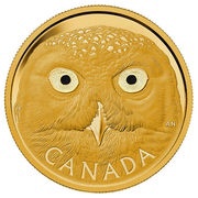 2500 Dollars - Elizabeth II Snowy Owl, Canada, 2014 reverse image