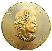 2500 Dollars - Elizabeth II Gold Maple Leaf obverse image