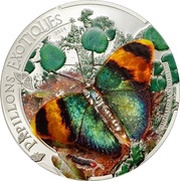 1000 Francs CFA Gold Banded Forester reverse image
