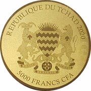 5000 Francs CFA African Lion obverse image
