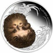 50 Cents - Elizabeth II 4th Portrait - Bush Babies - Echidna, Australia, 2013 reverse image