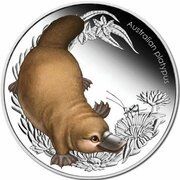 50 Cents - Elizabeth II 4th Portrait - Bush Babies - Platypus, Australia, 2013 reverse image