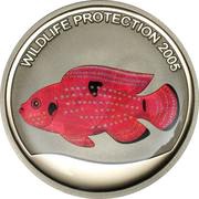 5 Francs Red Fish, Republic of the Congo, 2005 reverse image