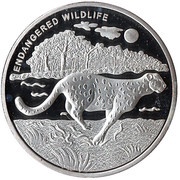 10 Franc Cheetah, Republic of the Congo, 2007 reverse image