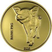 20 Francs Babe Pig, Republic of the Congo, 2006 reverse image