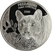 20 Francs Puma concolor, Republic of the Congo, 2020 reverse image