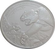 20 Francs Thylacoleo carnifex, Republic of the Congo, 2020 reverse image