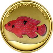 100 Francs Red Fish, Congo, 2005 reverse image