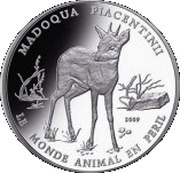 1000 Francs CFA Madoqua Piacentinii, Republic of the Congo, 2009 reverse image