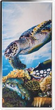 ¼ Dollar - Elizabeth II Great Barrier Reef reverse image