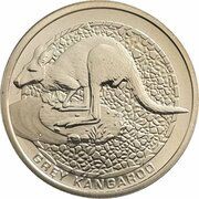 1 Dollar - Elizabeth II 4th Portrait - Grey Kangaroo, Australia, 2008 reverse image