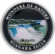 1 Dollar - Elizabeth II Niagara Falls, Cook Islands, 2009 reverse image