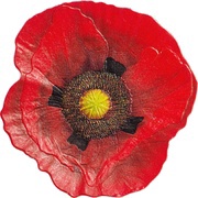 5 Dollars - Elizabeth II Remembrance Poppy, Cook Islands, 2017 reverse image