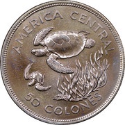 50 Colones Green Turtles, Costa Rica, 1974 reverse image