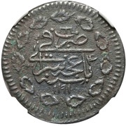 Kopek - Shahin Giray reverse image